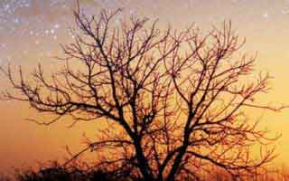 国家开放大学学习网国开电大i国开网上形考作业中外政治思想史形考任务一二三网上作业答案