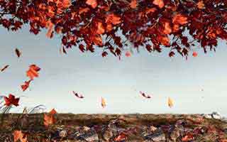 国家开放大学学习网国开电大i国开网上形考作业中外政治思想史形考任务一二三网上作业答案