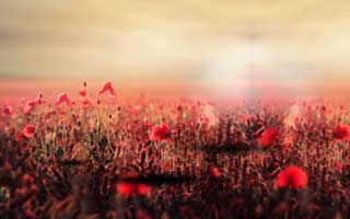 国家开放大学学习网国开电大i国开网上形考作业中外政治思想史形考任务一二三网上作业答案